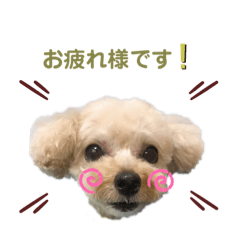 Kazumi_20200320155926