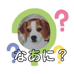 love_20200319220314kiyo