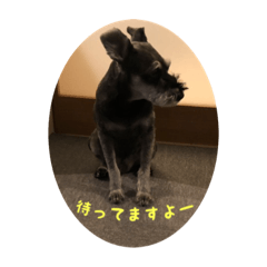 Jiji_20200320170248