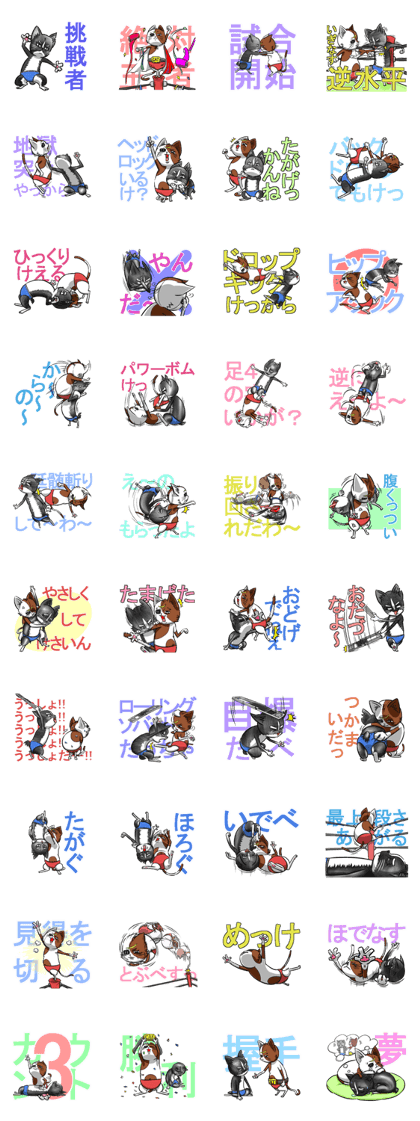 Wrestling attacks name sticker of cat