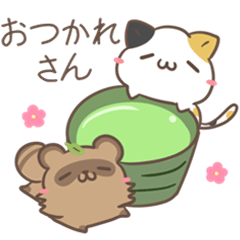 kyoto dialect calico cat & raccoon dog