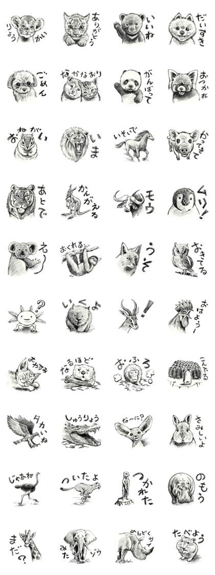 A pretty and wild animal, pencil sketch