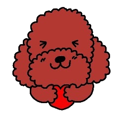 Toy poodle the muck