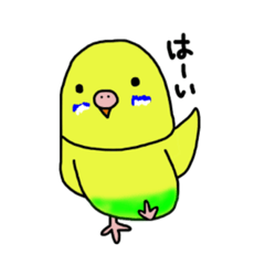 suzu_20200320171749