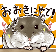 hamster ginji