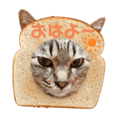 alice_20200319214707