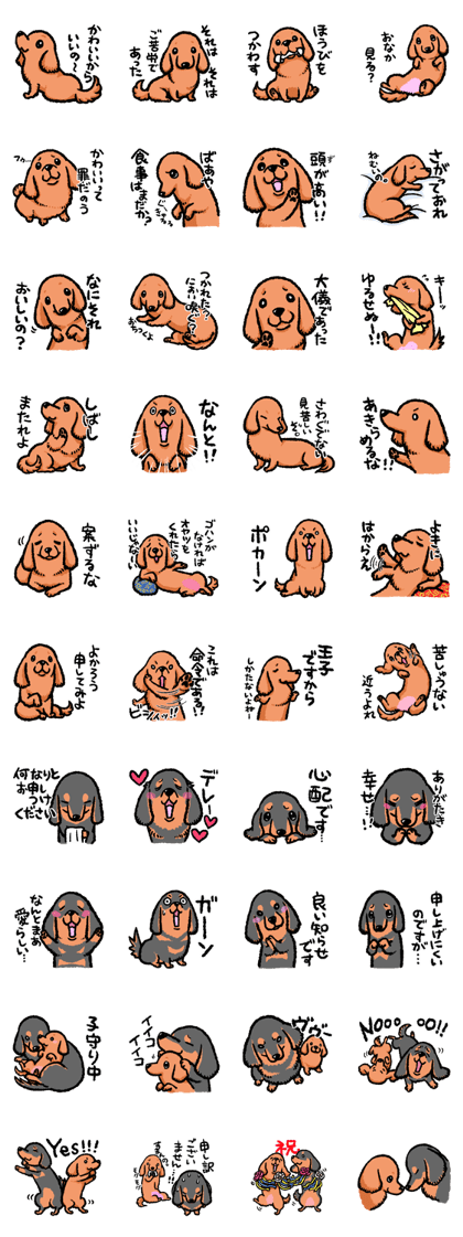 Miniature Dachshund sticker 2