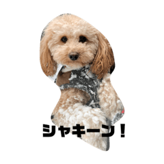 AYUMI_20200320192109