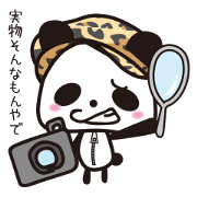 Invective panda cameraman. Invective panda cameraman.