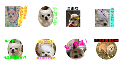 YAGASHIRA_20200320214150