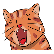 Daisuke, the cat. Daisuke, the cat.