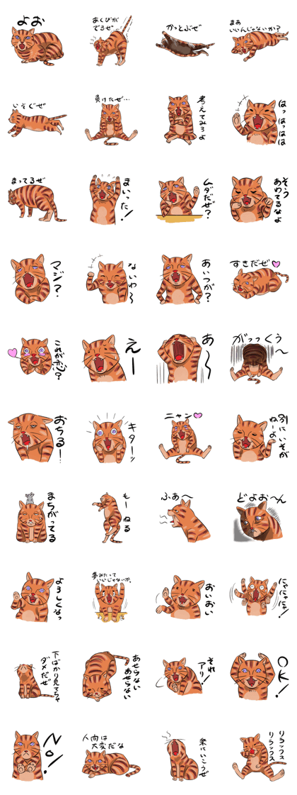 Daisuke, the cat. Daisuke, the cat.