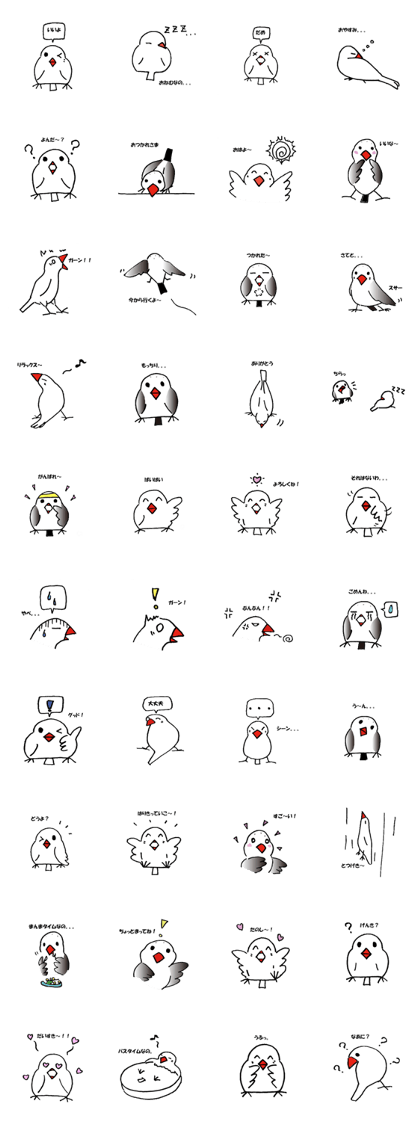 Mutter of a white sesame Java sparrow