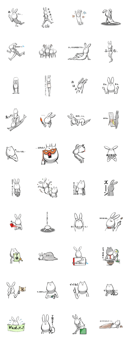 funny rabbit and bear funny rabbit and bear