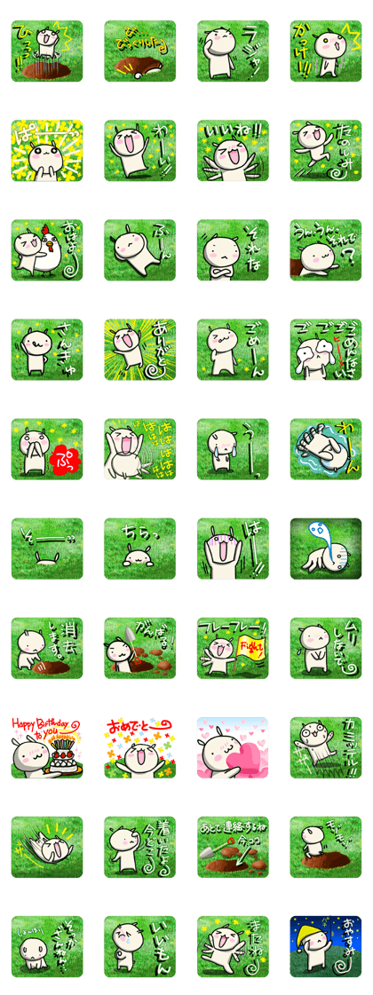 The rabbit which lives in an open field. The rabbit which lives in an open field.