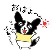 Border Collie dog ver2 Border Collie dog ver2