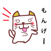 cats and bear Okayama valve cats and bear Okayama valve