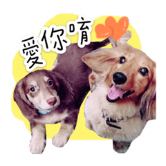 巴馬Dobi多多三兄弟