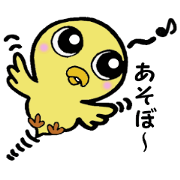 The chick names "Coco". The chick names "Coco".