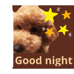 Chie_20200321001734