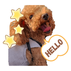 HIKARI_20200321002212