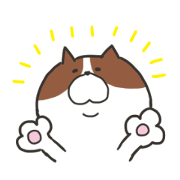 pretty fat cat pretty fat cat