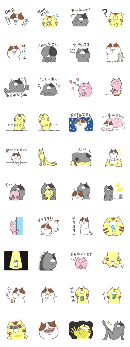 pretty fat cat pretty fat cat