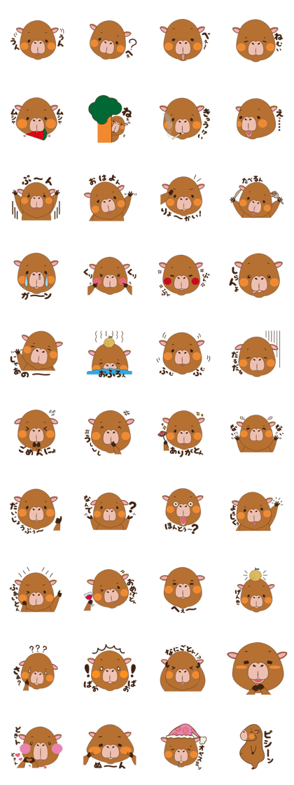 Rui of capybara Rui of capybara