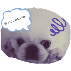 Sayuri_20200320230547