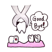 Molar and dental hygienist