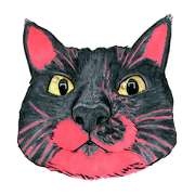 colorful cats book colorful cats book