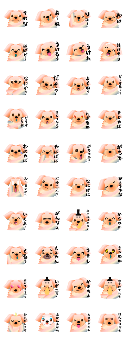 Light color's "Yorkie"in Japan 2 Light color's "Yorkie"in Japan 2