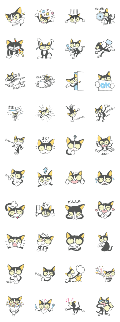 Paw the cat Paw the cat