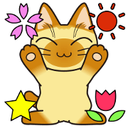 Narrow Eyes Cats ~Positive~ Narrow Eyes Cats ~Positive~