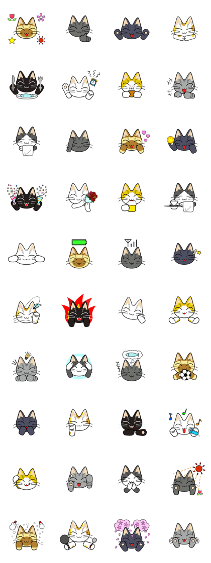 Narrow Eyes Cats ~Positive~ Narrow Eyes Cats ~Positive~