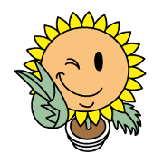 Mahi mahi of sunflower Mahi mahi of sunflower