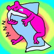 pink cute cat's life pink cute cat's life