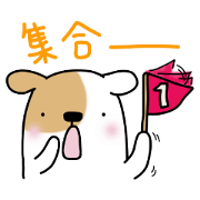 Marron cream chocolate