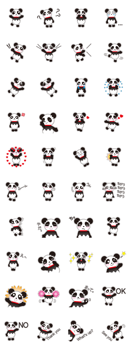 Panda of a red collar