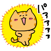 Red Tabby Cat Everyday