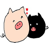 so cute pigs