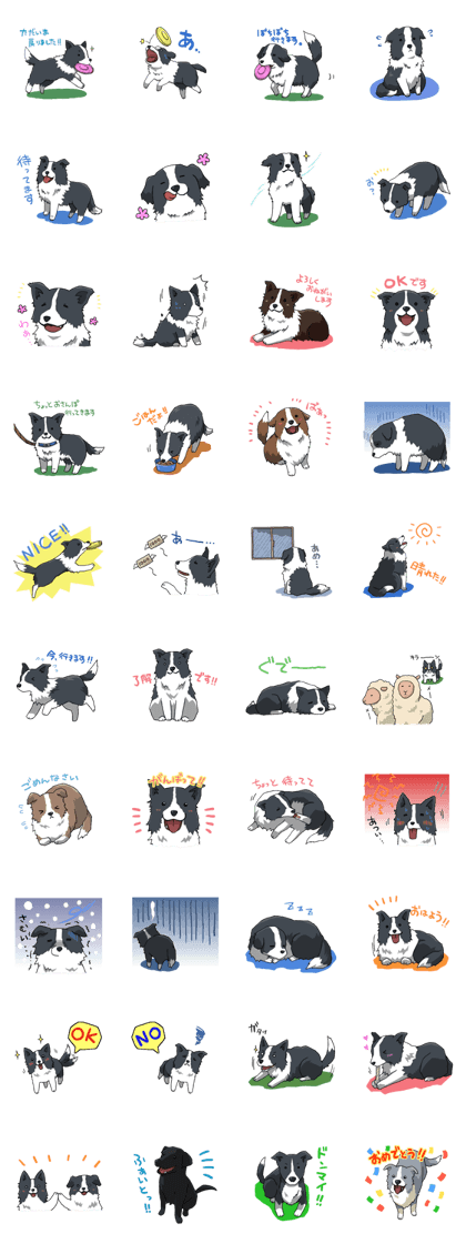 Border collie stamp