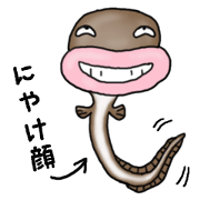 Musashi drew pictures-Japanese