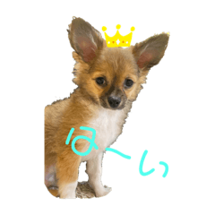 miyo_20200321113201