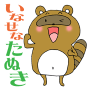 Dashing a raccoon dog