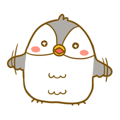 Bonjii the Owl