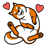 Shiba Inu weather