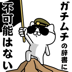 "GACHIMUCHI"name/Military cat