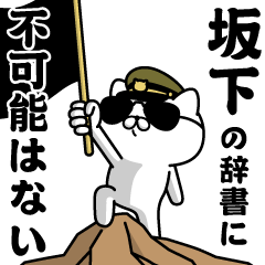 "SAKASHITA"name/Military cat