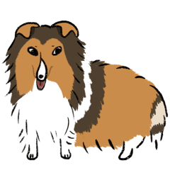 Sheltie (Shetland Sheepdog)-English vers